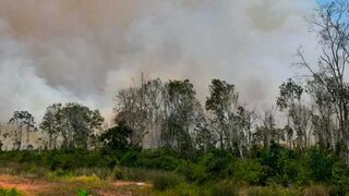 Extracted from Astro Awani page https://astroawani.com/berita-bisnes/penjual-kerepek-capai-80-peratus-peningkatan-jualan-dengan-shopee-live-467482