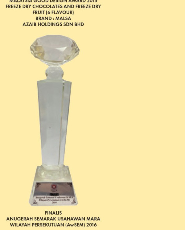 MARA entrepreneurship award visual · 2016