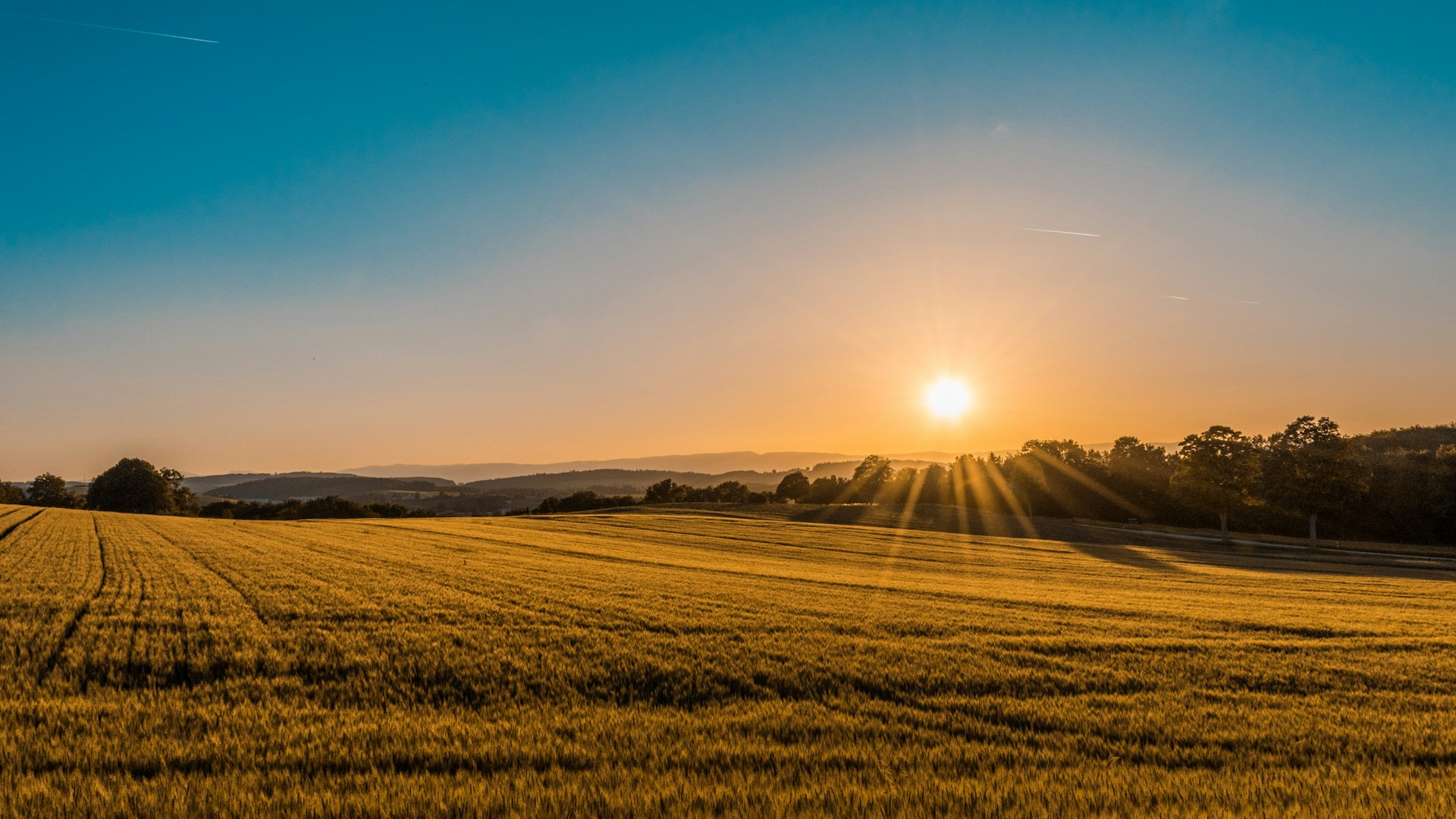 Integrated agriculture supply chain